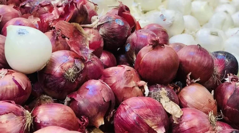 Onion Prices: प्याज की कीमतों में गिरावट को नियंत्रित करने के लिए केंद्र सरकार की नई योजना 2024