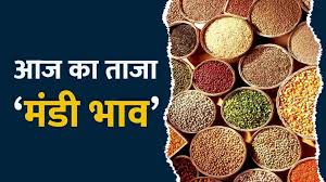 Mandi Bhav: मूंग की कीमतों में जबरदस्त उछाल, 15 हजार के पार पहुंचा दाम, जानें देशभर की मंडियों का हाल 2024